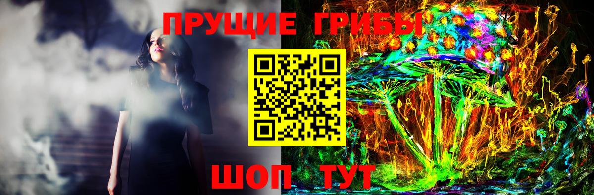 Псилоцибиновые грибы ЛСД  Вход с VPN  Елизово 